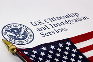 Citizenship and Naturalization